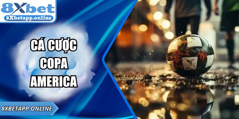 Cá Cược Copa America Tại 8XBET – Kinh Nghiệm Thắng Lớn
