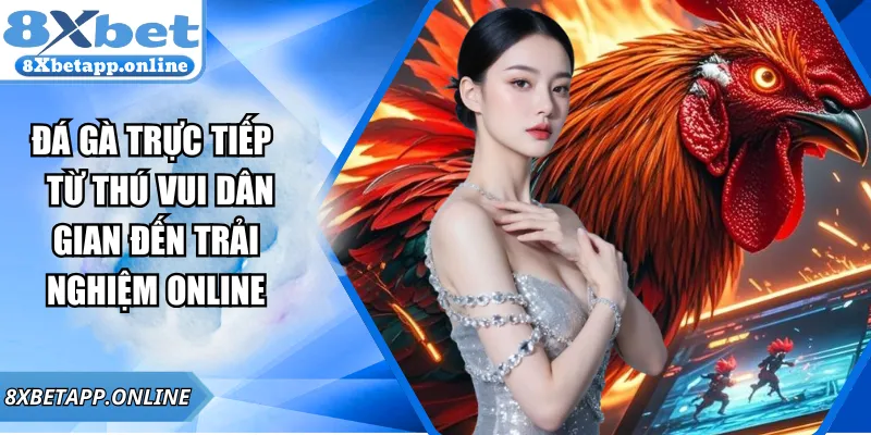 Đá gà trực tiếp – Từ thú vui dân gian đến trải nghiệm online