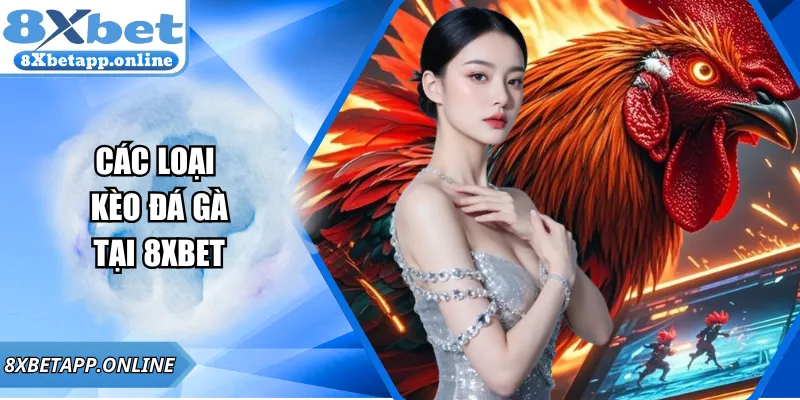Các loại kèo đá gà tại 8xbet