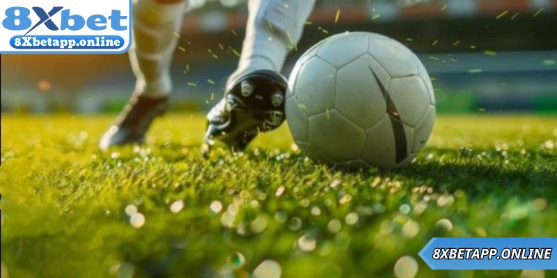 Mẹo đọc tỷ lệ kèo bóng đá chuẩn xác tăng thắng