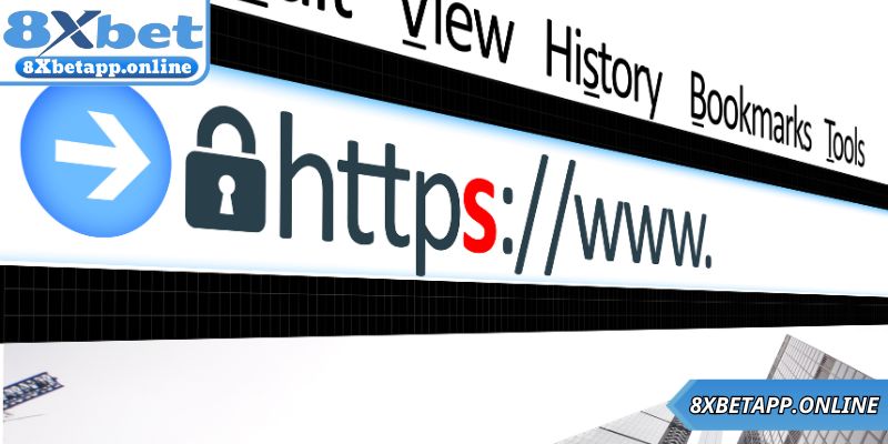 Mẹo hữu ích để tối ưu trải nghiệm khi xem live