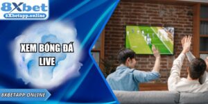 Xem Bóng Đá Live 8XBET - Trải Nghiệm Chất Lượng Đỉnh Cao