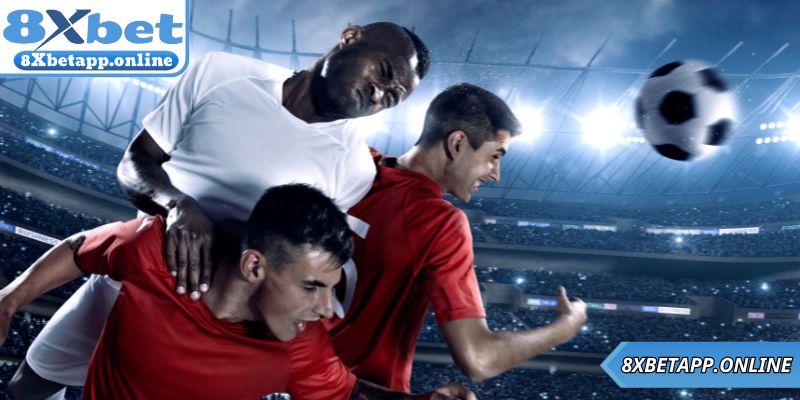 Cập nhập ngay các link xem bóng đá tại 8xbet