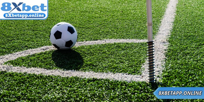 Xem bóng đá tại 8xbet với nhiều lợi ích